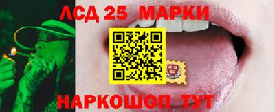 apvp Свободный