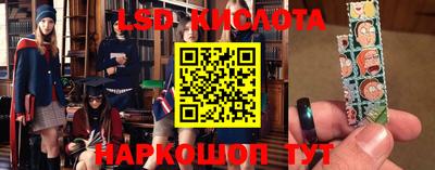 apvp Свободный