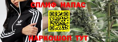 СК Северобайкальск