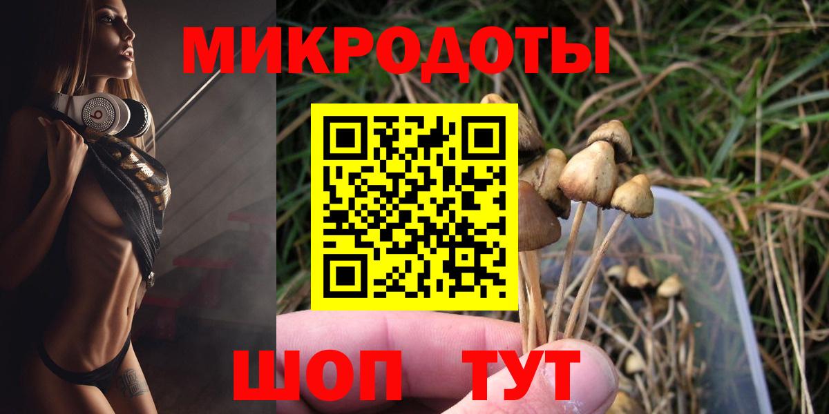 купить наркоту  Вход с VPN  Северск  Галлюциногенные грибы GOLDEN TEACHER 